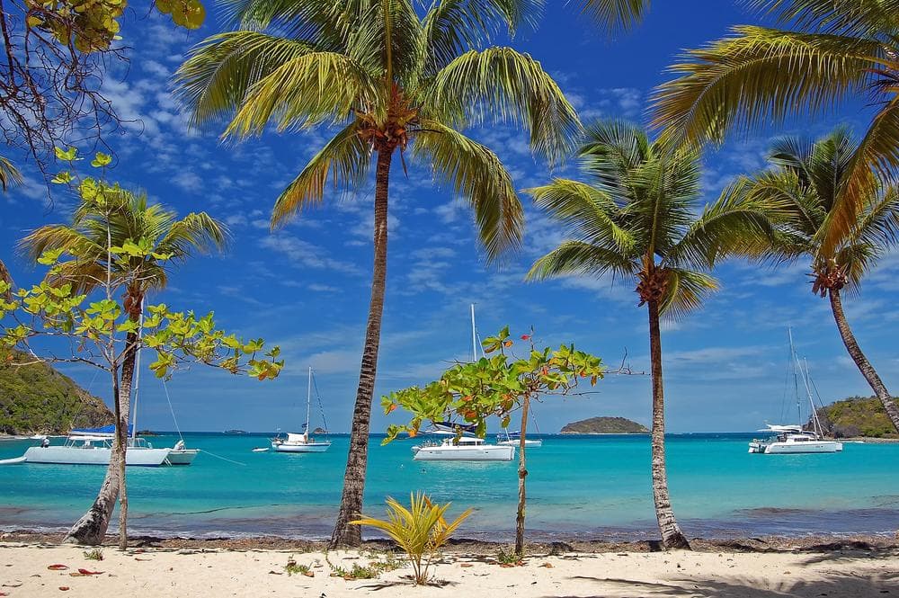 Mayreau