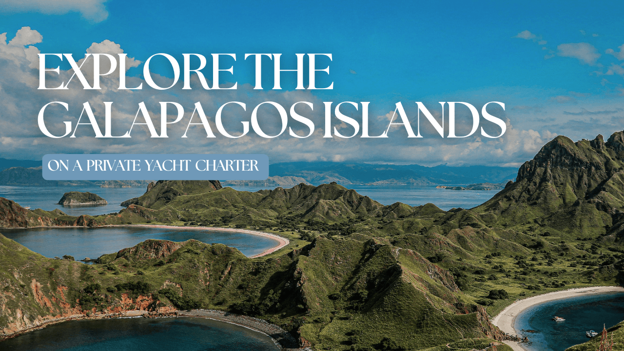 Why a Galapagos Yacht Charter Is the Ultimate Way to Explore the Islands
