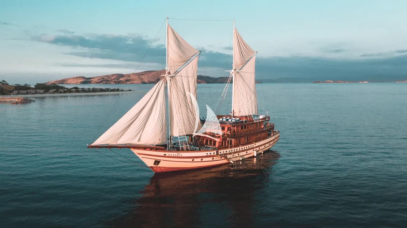 THE MAJ OCEANIC — photo 1