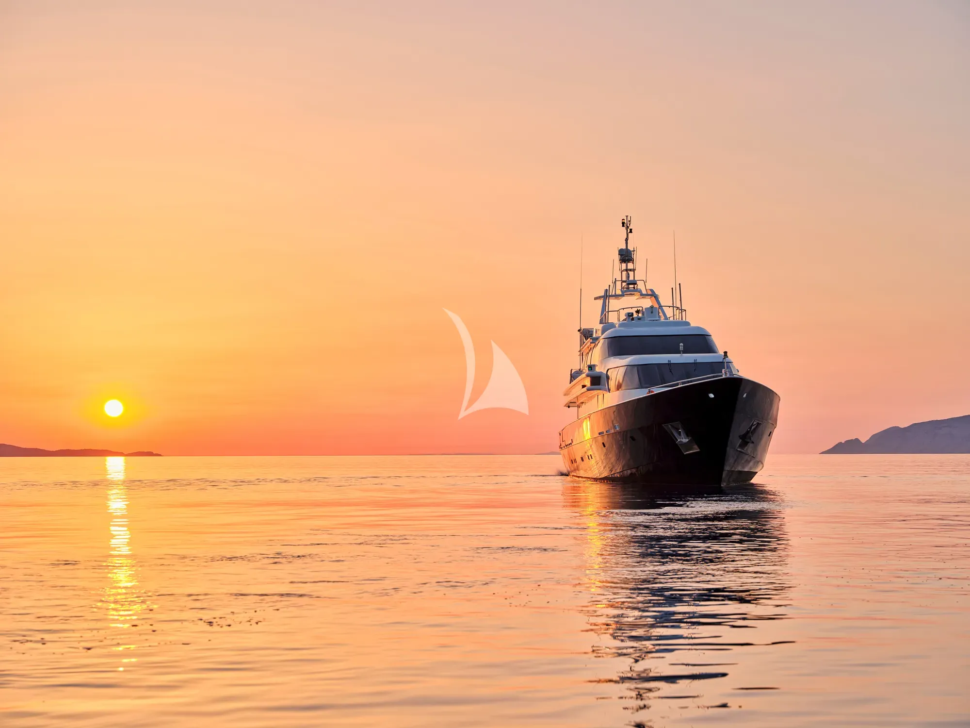 GELLY — photo 5