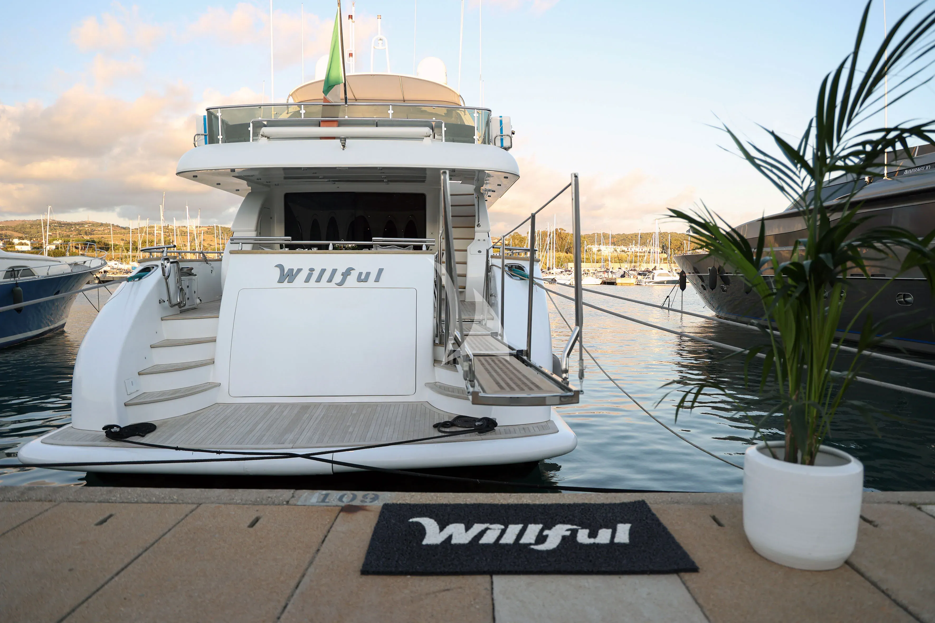 WILLFUL — photo 2