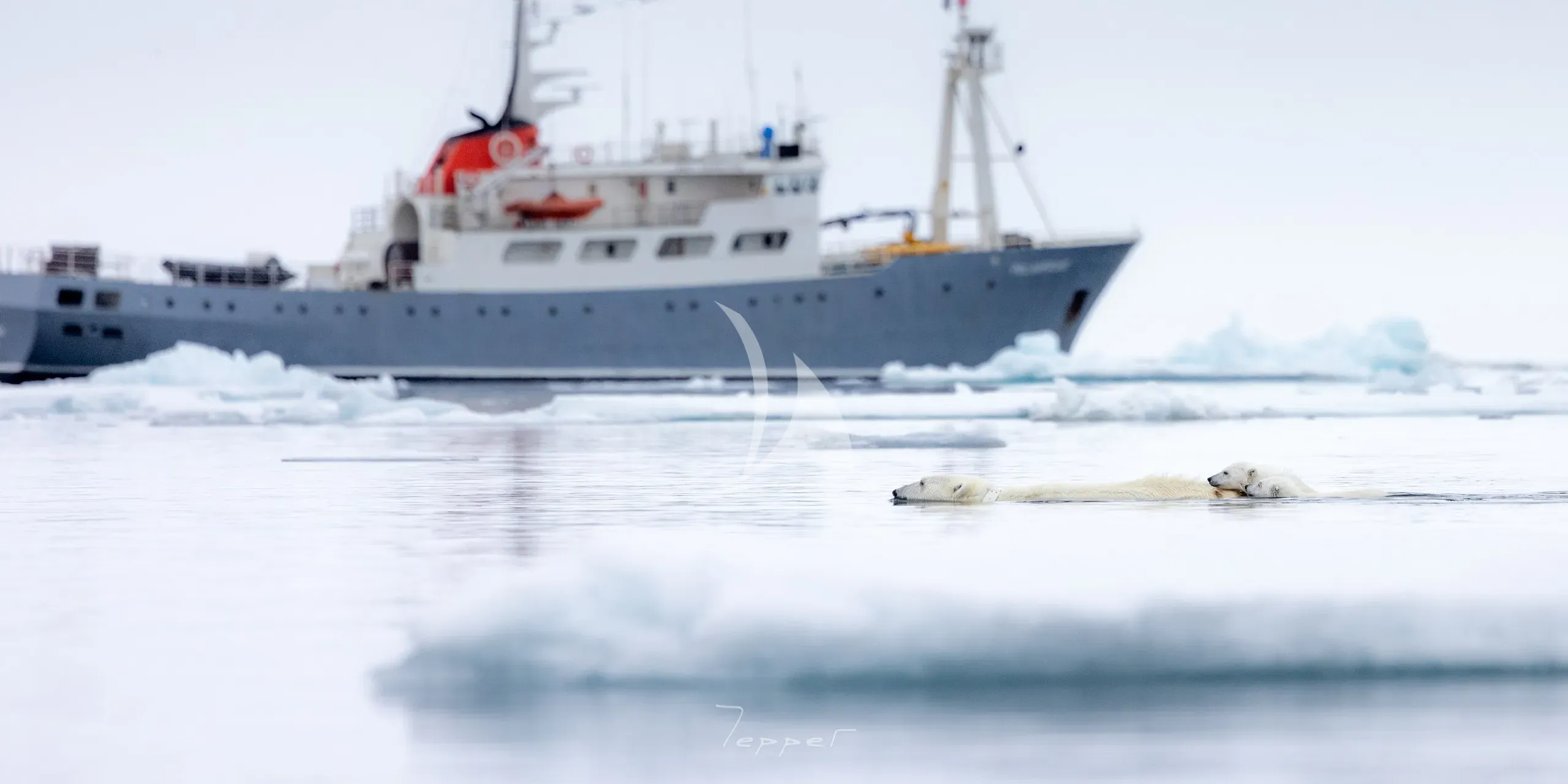 POLARFRONT — photo 3