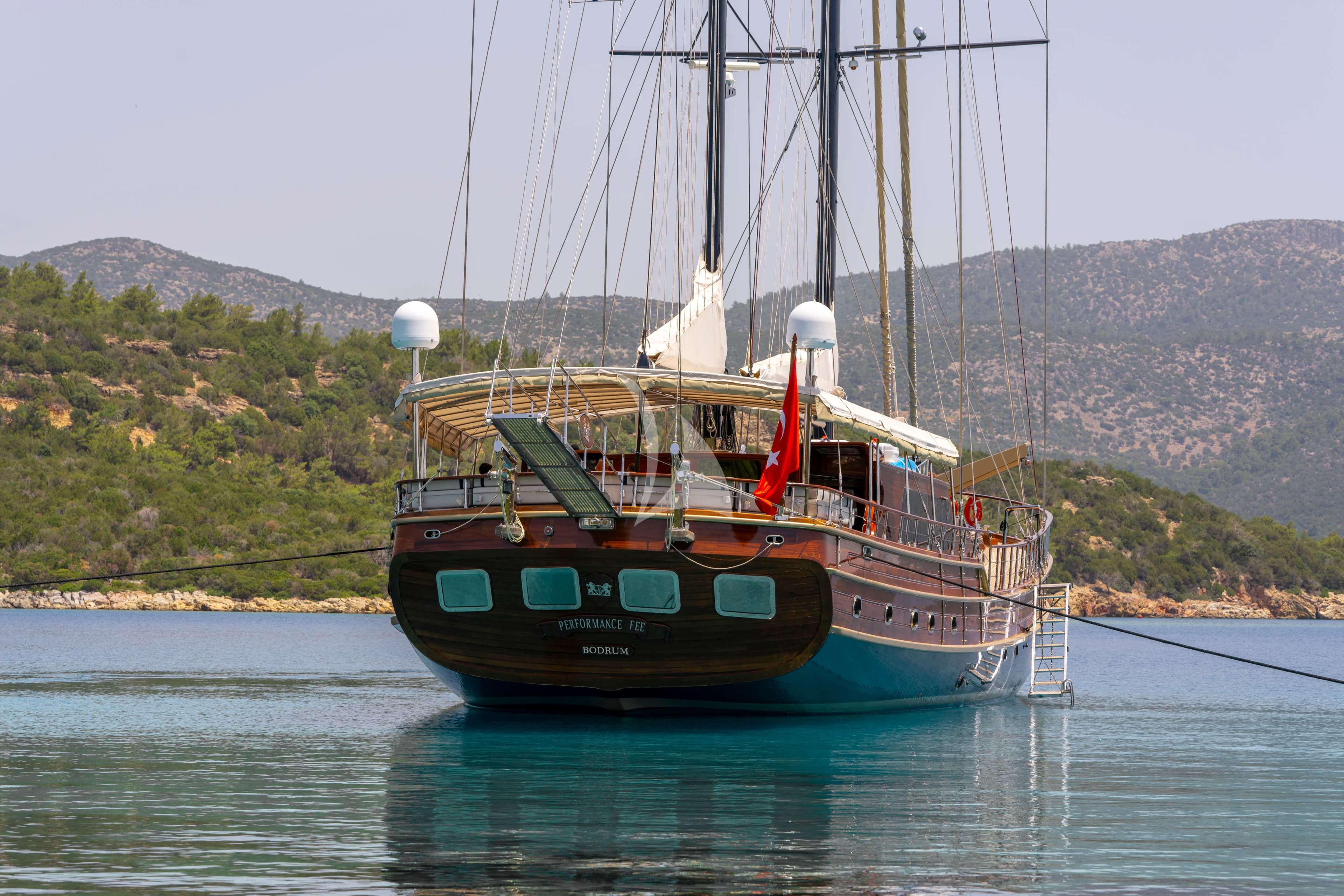 PERFORMANCE FEE — photo 1