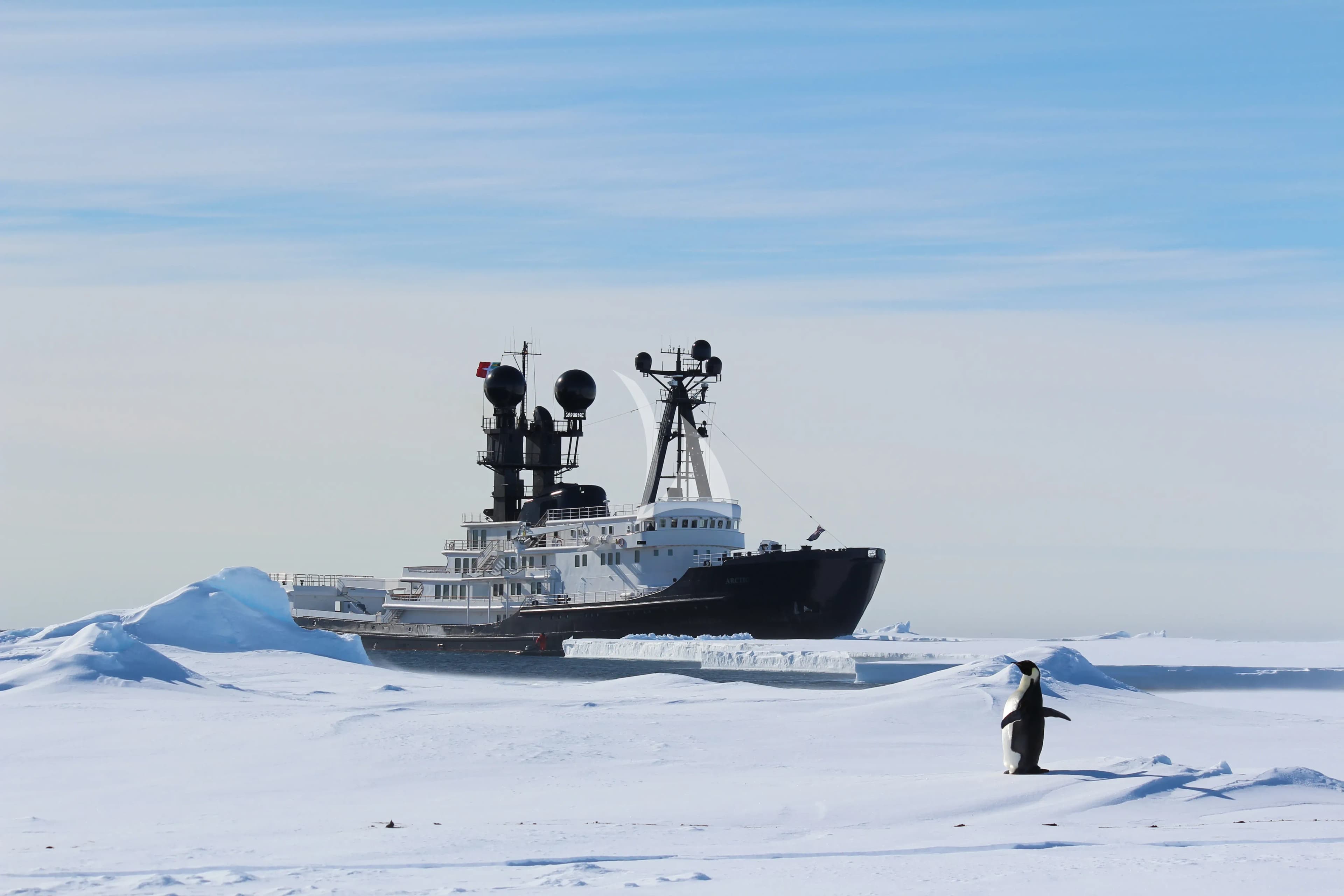 ARCTIC — photo 2