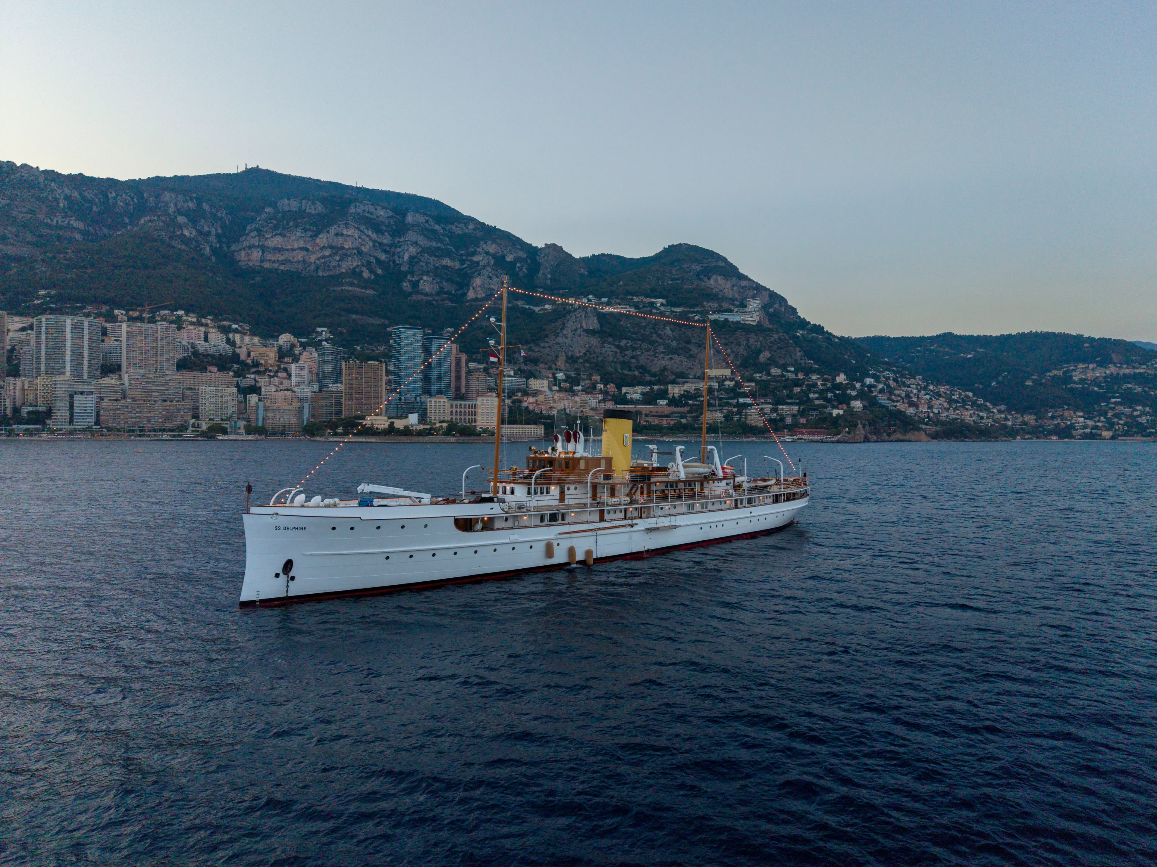 SS DELPHINE — photo 1