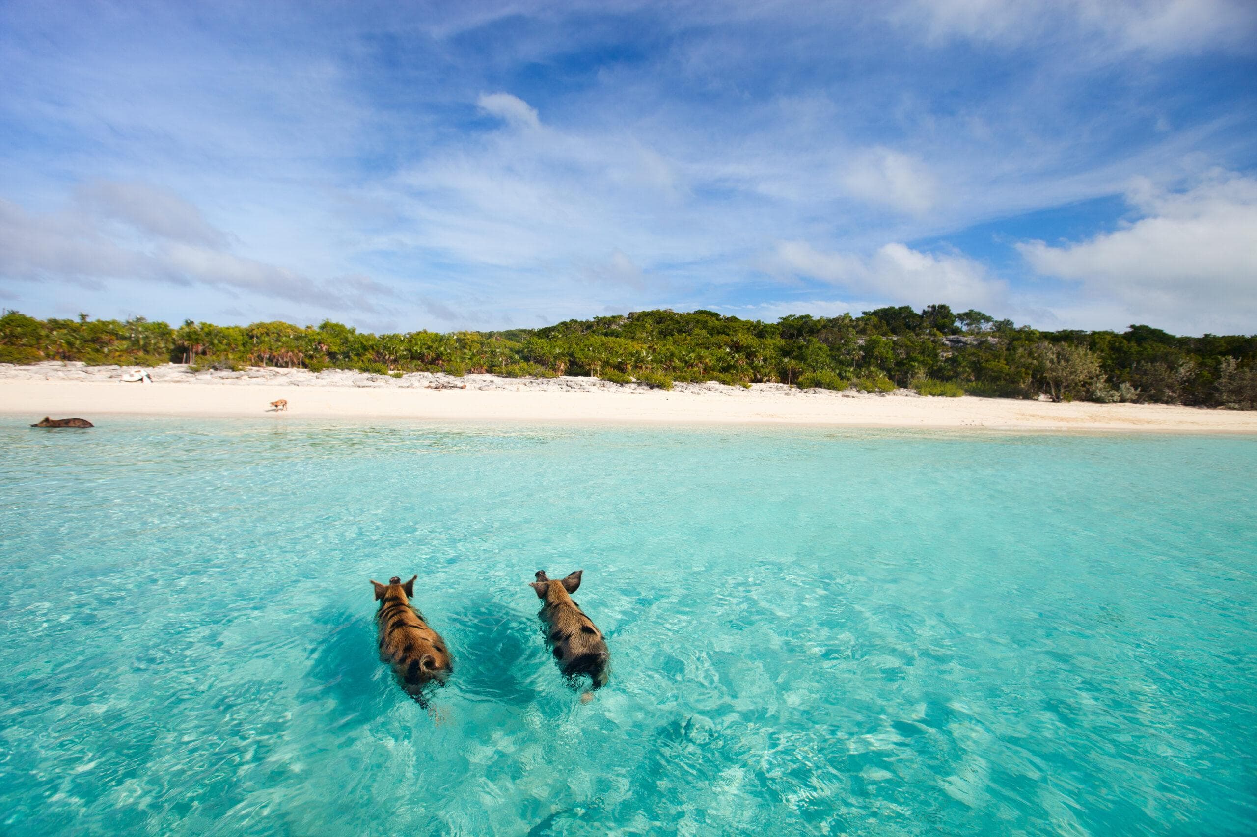 Bahamas yacht charter